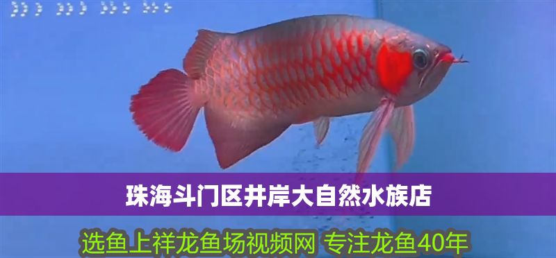 珠海斗門區(qū)井岸大自然水族店 珠海斗門區(qū)井岸大自然水族店 全國水族館企業(yè)名錄 第1張