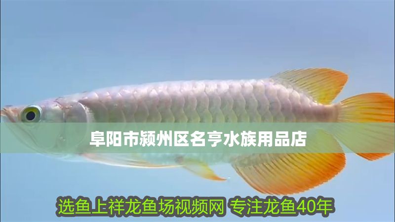 阜陽市潁州區名亨水族用品店