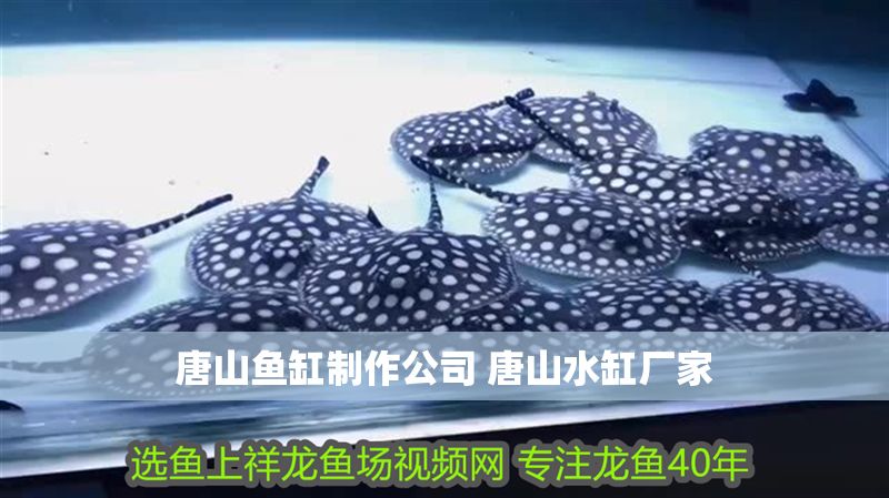 唐山魚缸制作公司 唐山水缸廠家