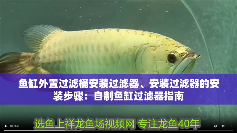 魚缸外置過濾桶安裝過濾器、安裝過濾器的安裝步驟：自制魚缸過濾器指南