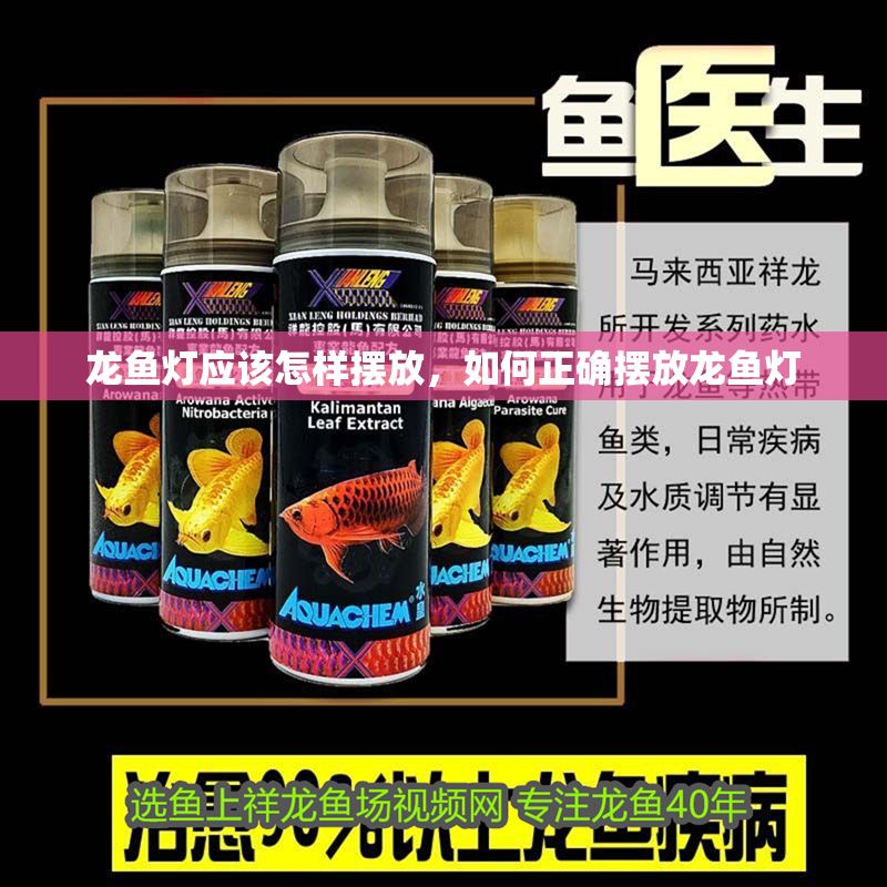 龍魚燈應(yīng)該怎樣擺放，如何正確擺放龍魚燈