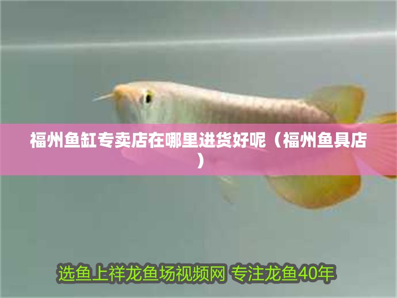 福州魚缸專賣店在哪里進(jìn)貨好呢（福州魚具店）