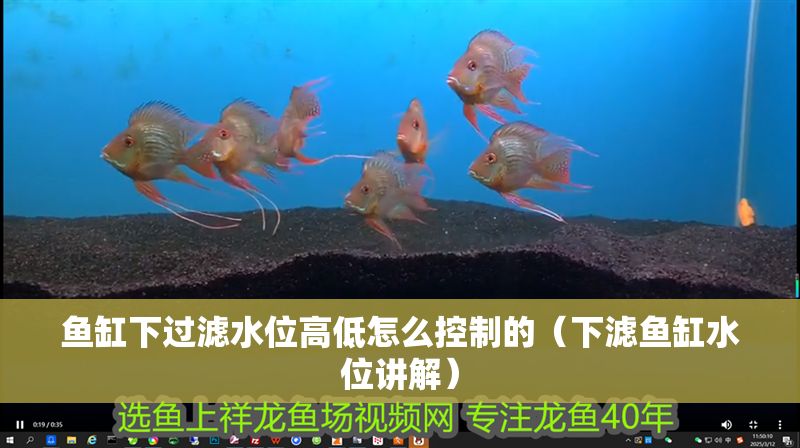 魚(yú)缸下過(guò)濾水位高低怎么控制的（下濾魚(yú)缸水位講解）