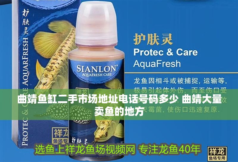 曲靖魚缸二手市場(chǎng)地址電話號(hào)碼多少 曲靖大量賣魚的地方