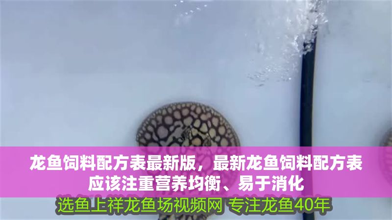 龍魚飼料配方表最新版，最新龍魚飼料配方表應該注重營養均衡、易于消化 龍魚飼料配方表最新版，最新龍魚飼料配方表應該注重營養均衡、易于消化 龍魚百科 第2張
