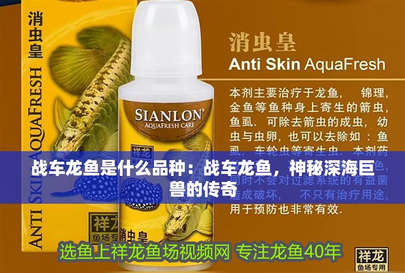 戰(zhàn)車龍魚(yú)是什么品種：戰(zhàn)車龍魚(yú)，神秘深海巨獸的傳奇