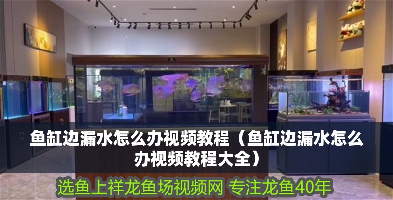 魚缸用增氧泵價格是多少:魚缸增氧機-xtrac增氧機-xtrac增氧機 魚缸邊漏水怎么辦視頻教程(魚缸邊漏水怎么辦視頻教程大全) 觀賞魚百科 魚缸邊漏水怎么辦視頻教程(魚缸邊漏水怎么辦視頻教程大全) 魚缸邊漏水怎么辦視頻教程(魚缸邊漏水怎么辦視頻教程大全) 觀賞魚百科