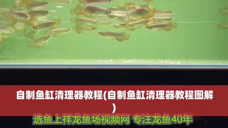 自制魚缸清理器教程(自制魚缸清理器教程圖解) 自制魚缸清理器教程(自制魚缸清理器教程圖解) 龍魚百科 第1張