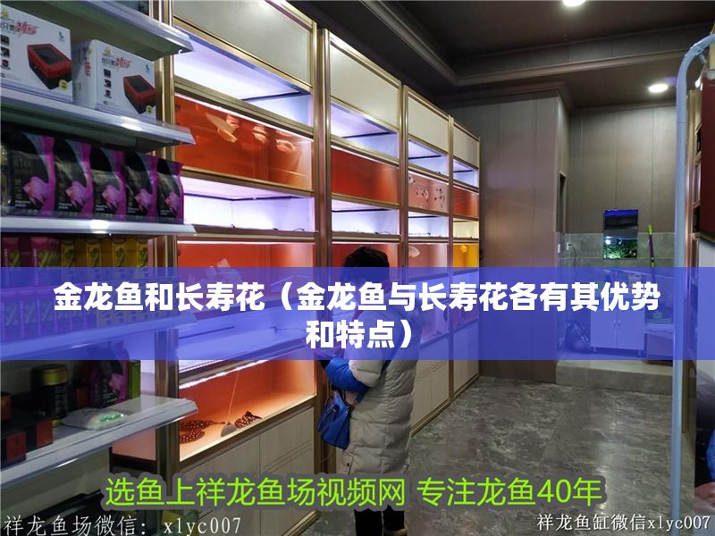 金龍魚和長壽花（金龍魚與長壽花各有其優(yōu)勢和特點）