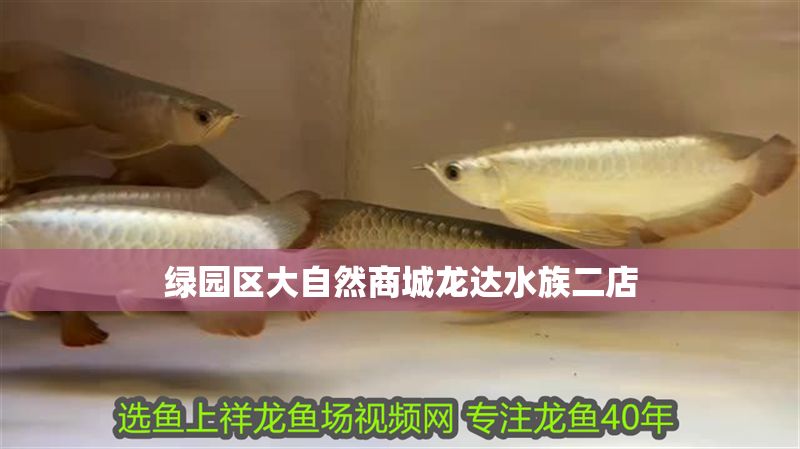綠園區(qū)大自然商城龍達水族二店