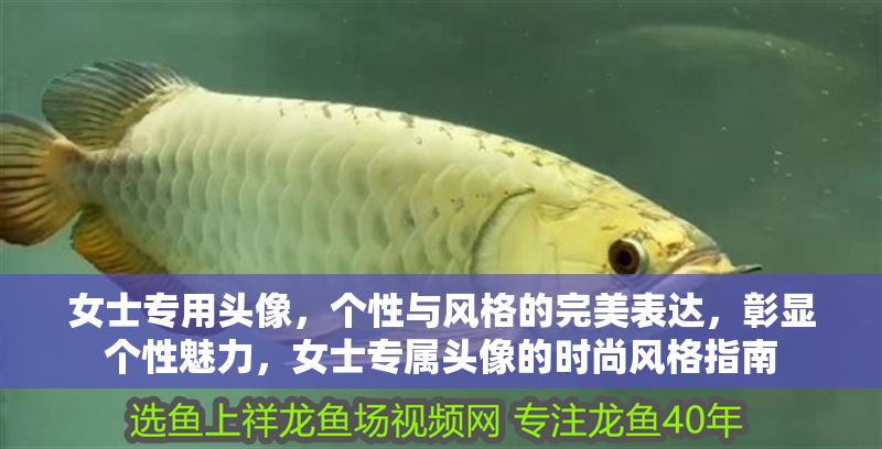 女士專用頭像，個性與風格的完美表達，彰顯個性魅力，女士專屬頭像的時尚風格指南 女士專用頭像，個性與風格的完美表達，彰顯個性魅力，女士專屬頭像的時尚風格指南 龍魚百科 第1張