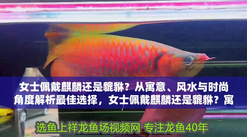 女士佩戴<strong><mark>麒麟</mark></strong>還是貔貅？從寓意、風水與時尚角度解析最佳選擇，女士佩戴<strong><mark>麒麟</mark></strong>還是貔貅？寓意、風水與時尚全解析