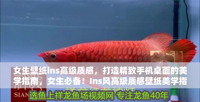 女生壁紙ins高級質感，打造精致手機桌面的美學指南，女生必備！Ins風高級質感壁紙美學指南，輕松打造精致手機桌面 女生壁紙ins高級質感，打造精致手機桌面的美學指南，女生必備！Ins風高級質感壁紙美學指南，輕松打造精致手機桌面 龍魚百科 第1張