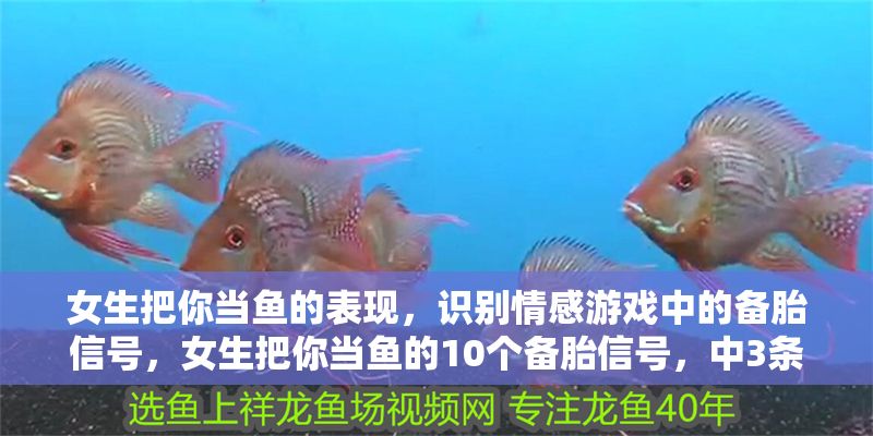 女生把你當魚的表現，識別情感游戲中的備胎信號，女生把你當魚的10個備胎信號，中3條以上及時止損