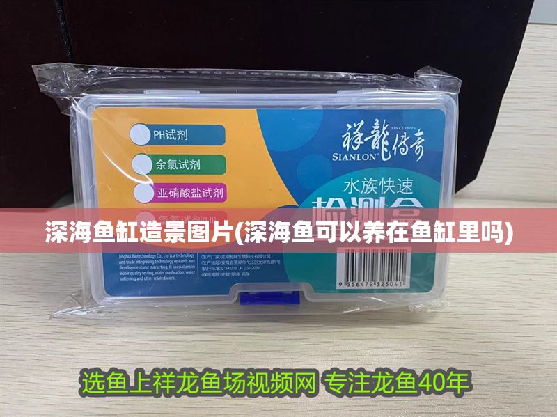 深海魚缸造景圖片(深海魚可以養在魚缸里嗎)