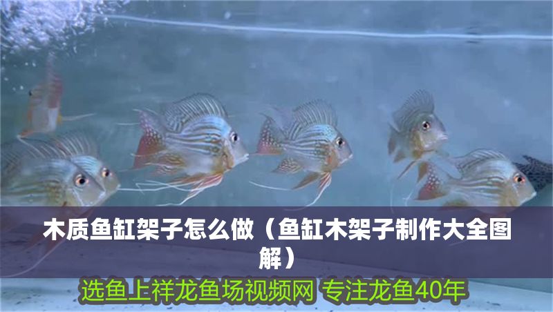 木質魚缸架子怎么做（魚缸木架子制作大全圖解）