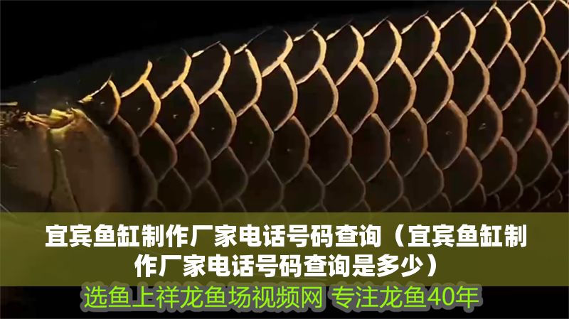 宜賓魚缸制作廠家電話號碼查詢（宜賓魚缸制作廠家電話號碼查詢是多少）