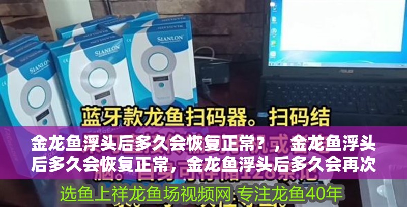 金龍魚浮頭后多久會恢復正常？，金龍魚浮頭后多久會恢復正常，金龍魚浮頭后多久會再次浮頭