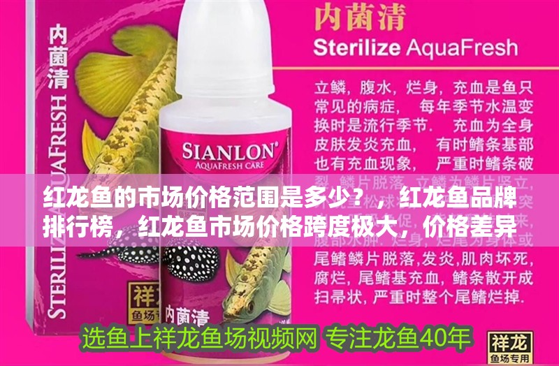 女人養魚的10大忌，避開這些錯誤，讓你的魚兒健康又美麗，避開這10大忌，讓你的魚兒健康又美麗