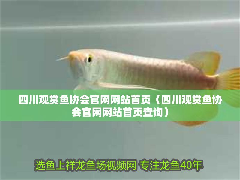 四川觀賞魚協會官網網站首頁（四川觀賞魚協會官網網站首頁查詢） 四川觀賞魚協會官網網站首頁（四川觀賞魚協會官網網站首頁查詢） 龍魚百科 第1張