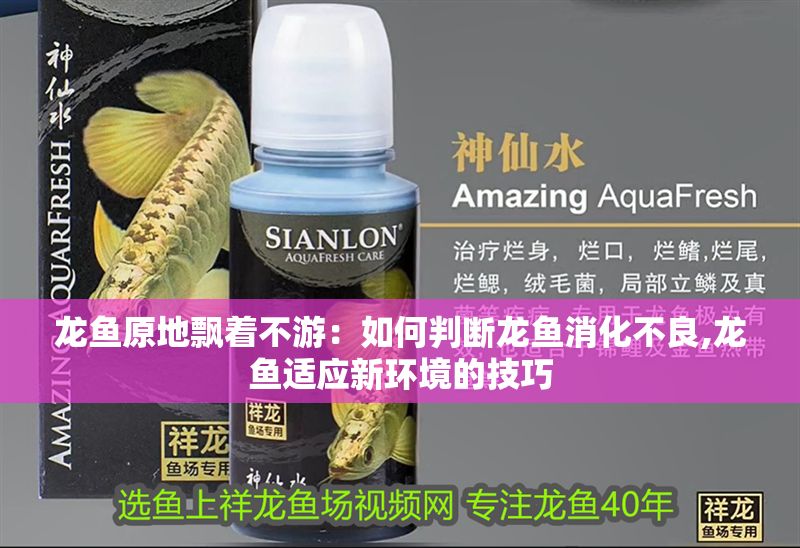 龍魚原地飄著不游：如何判斷龍魚消化不良,龍魚適應新環境的技巧 龍魚原地飄著不游：如何判斷龍魚消化不良,龍魚適應新環境的技巧 龍魚百科 第1張
