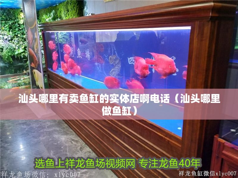 汕頭哪里有賣魚缸的實體店啊電話（汕頭哪里做魚缸）