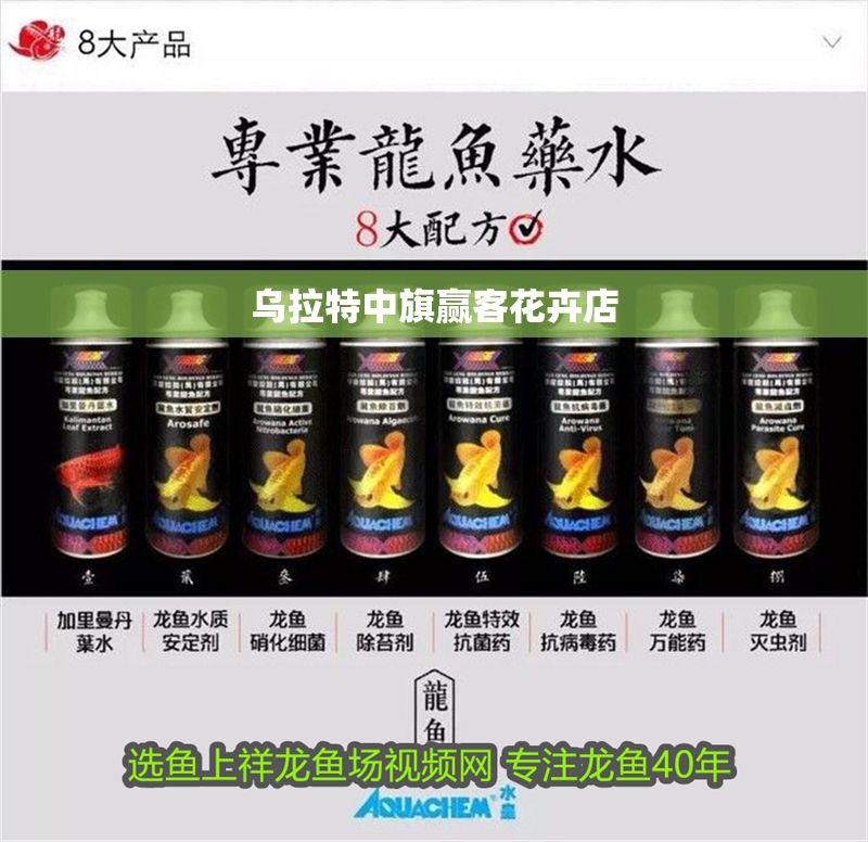 烏拉特中旗贏客花卉店 烏拉特中旗贏客花卉店 全國水族館企業名錄 第1張