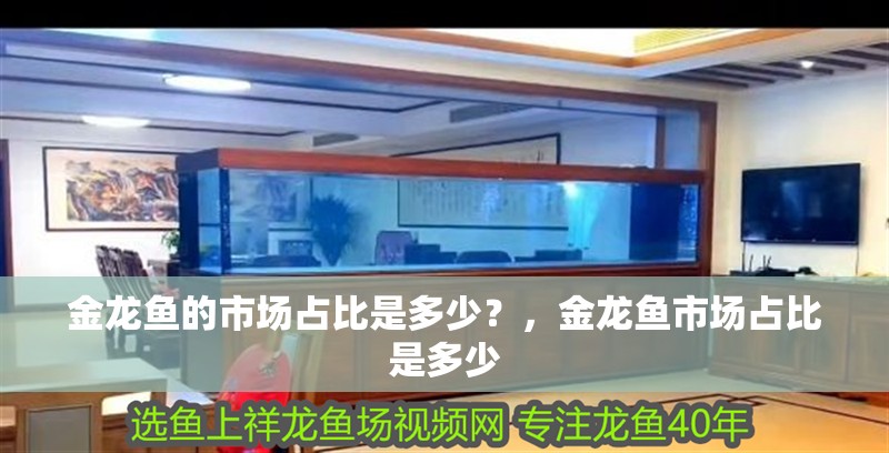 女人夢見抓龍魚的財運，夢境解析與財富啟示，女人夢見抓龍魚，夢境解析與財富運勢揭秘