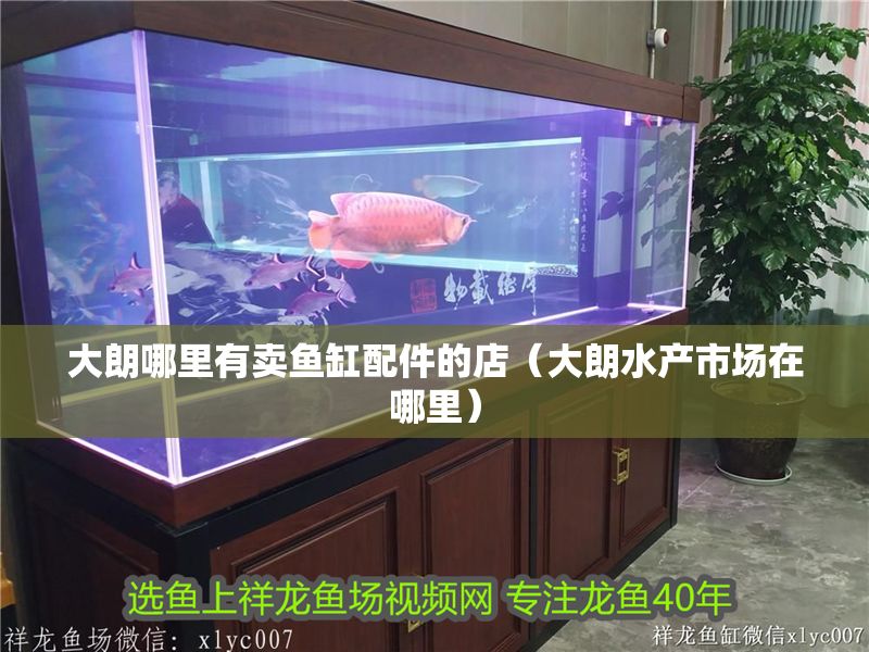 大朗哪里有賣魚缸配件的店（大朗水產(chǎn)市場在哪里）
