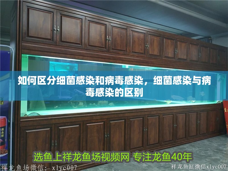 女人夢見死魚是要發財？解夢背后的心理與財運玄機，女人夢見死魚預示發財？揭秘夢境心理與財運關聯