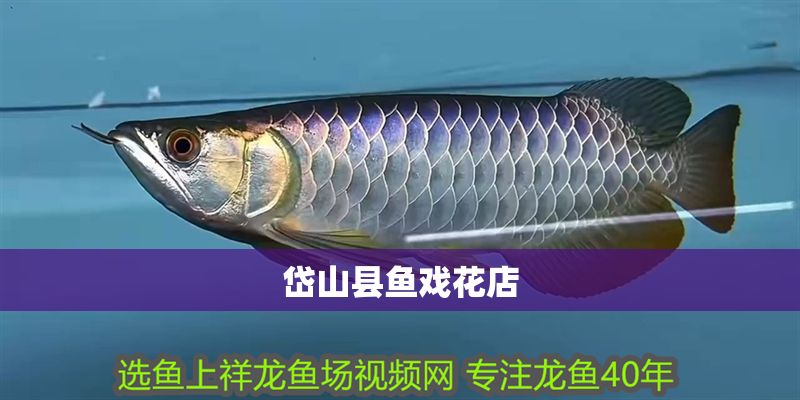 <strong><mark>岱山</mark></strong>縣魚戲花店