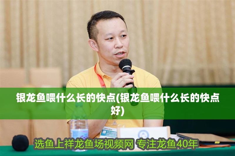 銀龍魚喂什么長的快點(銀龍魚喂什么長的快點好)
