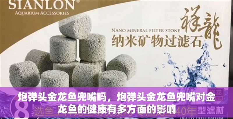 炮彈頭金龍魚兜嘴嗎，炮彈頭金龍魚兜嘴對金龍魚的健康有多方面的影響