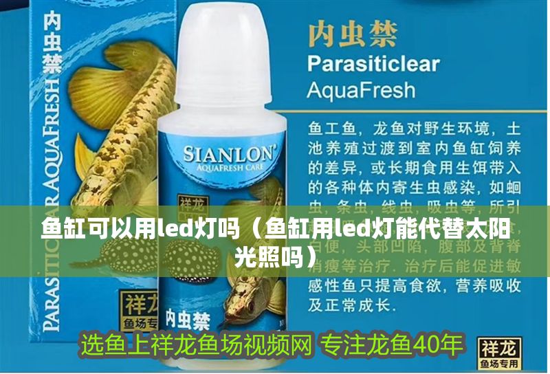魚缸可以用led燈嗎（魚缸用led燈能代替太陽光照嗎）