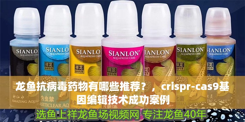 魚缸用增氧泵價格是多少:魚缸增氧機-xtrac增氧機-xtrac增氧機 龍魚抗病毒藥物有哪些推薦?,crispr-cas9基因編輯技術成功案例 龍魚百科 龍魚抗病毒藥物有哪些推薦?,crispr-cas9基因編輯技術成功案例 龍魚抗病毒藥物有哪些推薦?,crispr-cas9基因編輯技術成功案例 龍魚百科