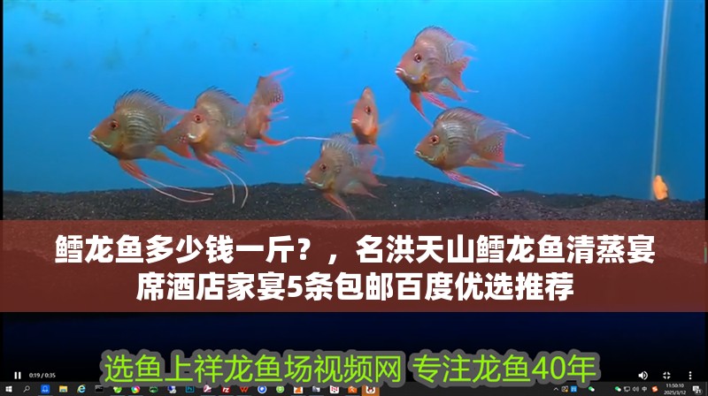 鱈龍魚多少錢一斤？，名洪天山鱈龍魚清蒸宴席酒店家宴5條包郵百度優選推薦