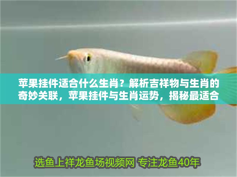 蘋果掛件適合什么生肖？解析吉祥物與生肖的奇妙關(guān)聯(lián)，蘋果掛件與生肖運勢，揭秘最適合佩戴的生肖及其吉祥寓意