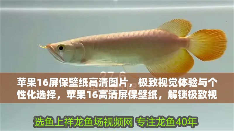 蘋果16屏保壁紙高清圖片，極致視覺體驗與個性化選擇，蘋果16高清屏保壁紙，解鎖極致視覺與個性定制 蘋果16屏保壁紙高清圖片，極致視覺體驗與個性化選擇，蘋果16高清屏保壁紙，解鎖極致視覺與個性定制 龍魚百科 第1張
