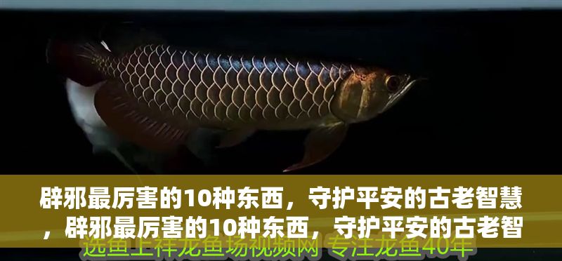 辟邪最厲害的10種東西，守護平安的古老智慧，辟邪最厲害的10種東西，守護平安的古老智慧