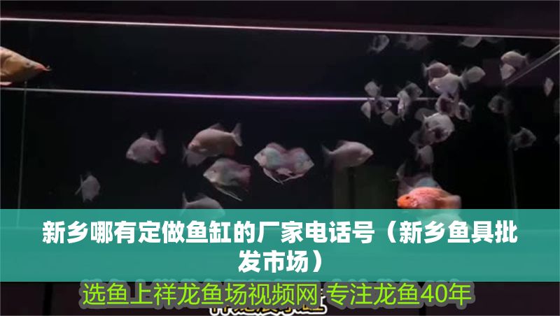 新鄉哪有定做魚缸的廠家電話號（新鄉魚具批發市場）