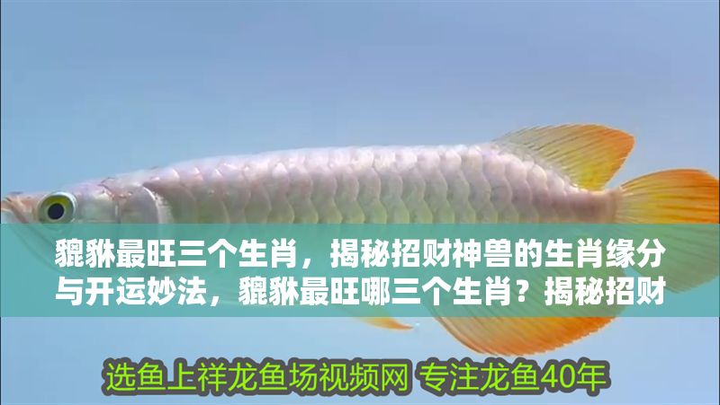 貔貅最旺三個生肖，揭秘招財神獸的生肖緣分與開運妙法，貔貅最旺哪三個生肖？揭秘招財神獸的生肖緣分與開運妙法