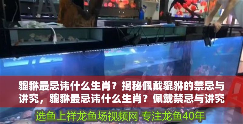 貔貅最忌諱什么生肖？揭秘佩戴貔貅的禁忌與講究，貔貅最忌諱什么生肖？佩戴禁忌與講究全解析