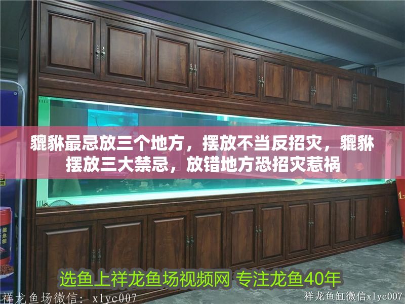 貔貅最忌放三個地方，擺放不當反招災(zāi)，貔貅擺放三大禁忌，放錯地方恐招災(zāi)惹禍