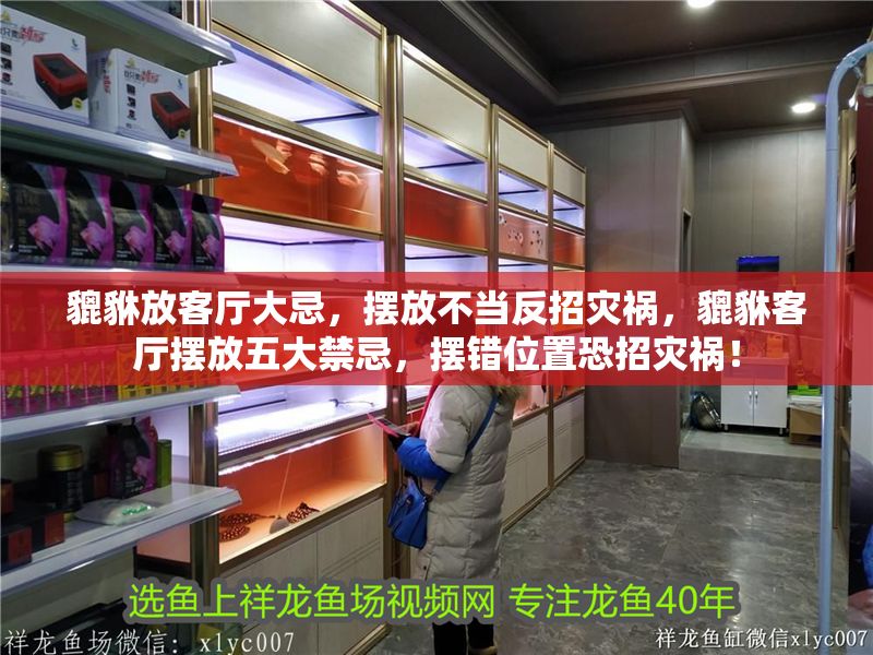 貔貅放客廳大忌，擺放不當(dāng)反招災(zāi)禍，貔貅客廳擺放五大禁忌，擺錯位置恐招災(zāi)禍！