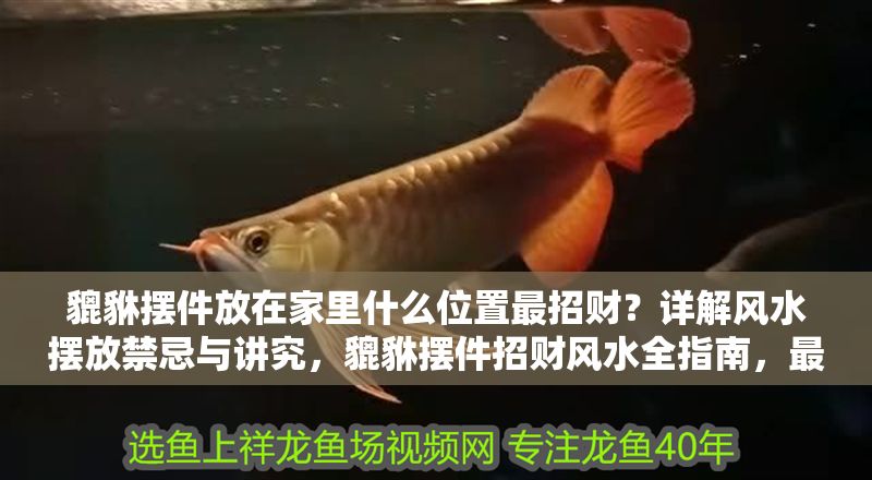 貔貅擺件放在家里什么位置最招財(cái)?詳解風(fēng)水?dāng)[放禁忌與講究,貔貅擺件招財(cái)風(fēng)水全指南,最佳擺放位置與禁忌詳解 龍魚百科 第1張 貔貅擺件放在家里什么位置最招財(cái)?詳解風(fēng)水?dāng)[放禁忌與講究,貔貅擺件招財(cái)風(fēng)水全指南,最佳擺放位置與禁忌詳解 貔貅擺件放在家里什么位置最招財(cái)?詳解風(fēng)水?dāng)[放禁忌與講究,貔貅擺件招財(cái)風(fēng)水全指南,最佳擺放位置與禁忌詳解 龍魚百科 第1張