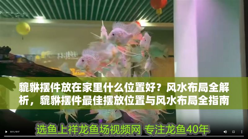 貔貅擺件放在家里什么位置好?風(fēng)水布局全解析,貔貅擺件最佳擺放位置與風(fēng)水布局全指南 龍魚(yú)百科 第1張 貔貅擺件放在家里什么位置好?風(fēng)水布局全解析,貔貅擺件最佳擺放位置與風(fēng)水布局全指南 貔貅擺件放在家里什么位置好?風(fēng)水布局全解析,貔貅擺件最佳擺放位置與風(fēng)水布局全指南 龍魚(yú)百科 第1張