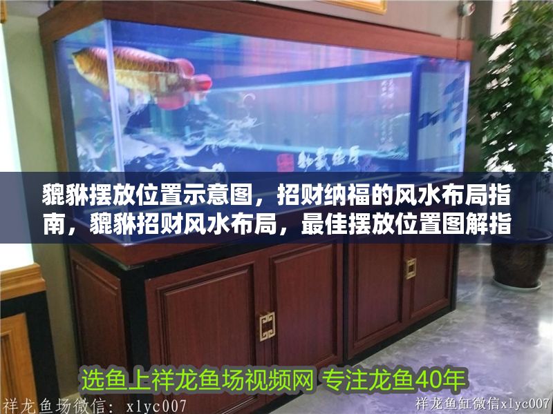 貔貅擺放位置示意圖，招財(cái)納福的風(fēng)水布局指南，貔貅招財(cái)風(fēng)水布局，最佳擺放位置圖解指南