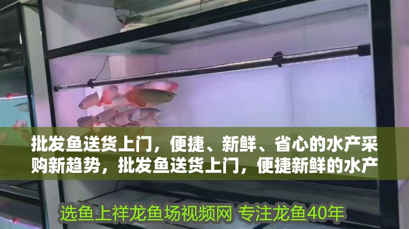 批發魚送貨上門，便捷、新鮮、省心的水產采購新趨勢，批發魚送貨上門，便捷新鮮的水產采購新選擇
