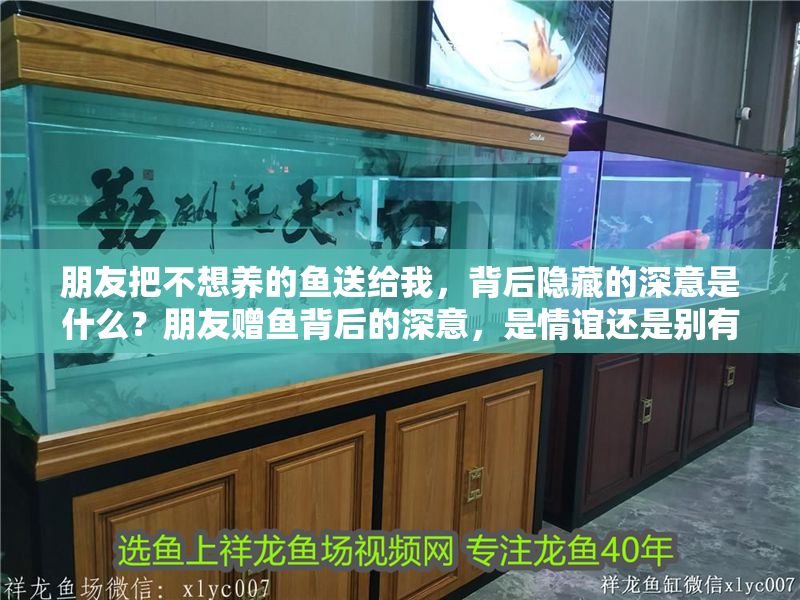 朋友把不想養的魚送給我，背后隱藏的深意是什么？朋友贈魚背后的深意，是情誼還是別有用心？