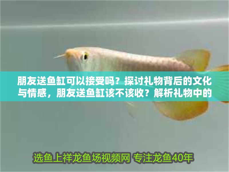 朋友送魚缸可以接受嗎？探討禮物背后的文化與情感，朋友送魚缸該不該收？解析禮物中的文化寓意與情感考量